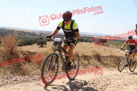 JAVIER VERGES ROGER Talajara 2015 34913