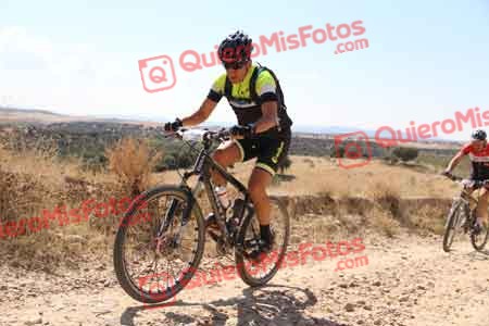 JAVIER VERGES ROGER Talajara 2015 34914