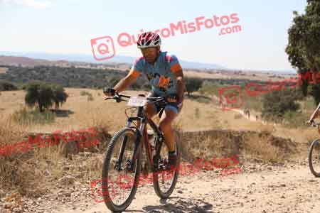 GUSTAVO VICENTE ROBLEDILLO Talajara 2015 34920