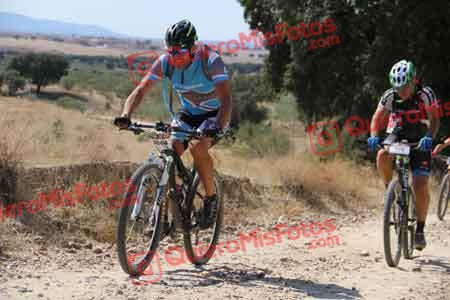 ALBERTO PINGARRON MORILLO Talajara 2015 35336