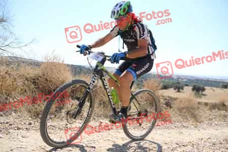 ALBERTO PINGARRON MORILLO Talajara 2015 35345