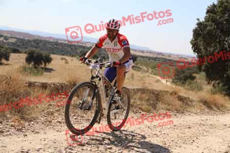 MIGUEL ANGEL BOYERO PABLOS Talajara 2015 35403