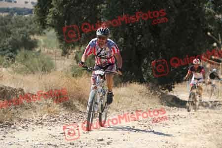 JESUS CARRILLO FERNANDEZ Talajara 2015 35416