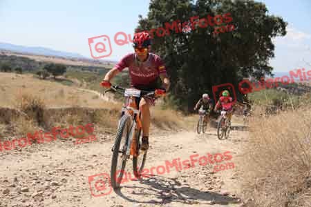 MIGUEL SERRANO SOLIS Talajara 2015 35501