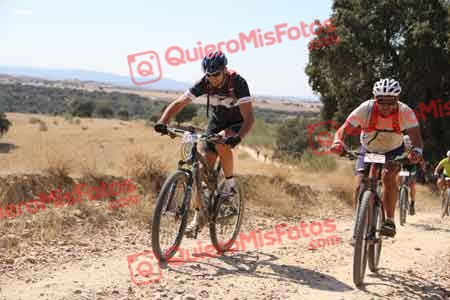 FRANCISCO QUINTANA GOMEZ Talajara 2015 35530