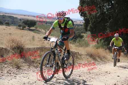 GUILLERMO MARTIN BUSTAMANTE Talajara 2015 35534