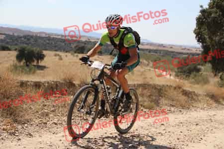 GUILLERMO MARTIN BUSTAMANTE Talajara 2015 35535