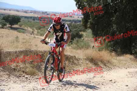 JAVIER AGUADO TORREJON Talajara 2015 35804