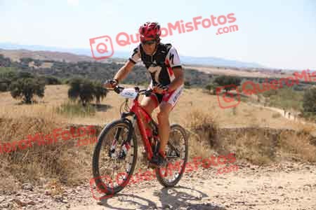 JAVIER AGUADO TORREJON Talajara 2015 35808