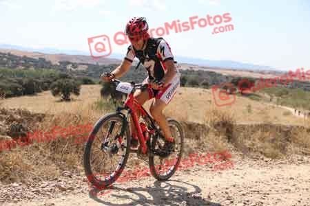 JAVIER AGUADO TORREJON Talajara 2015 35809