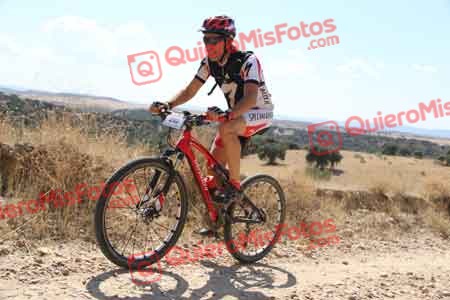 JAVIER AGUADO TORREJON Talajara 2015 35810
