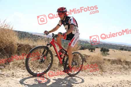JAVIER AGUADO TORREJON Talajara 2015 35811