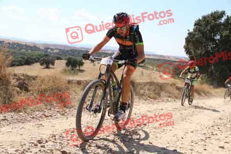 RAMIRO JOSE OLIVA OLIVA Talajara 2015 35916