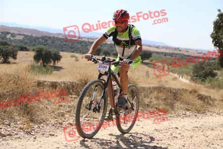 FERNANDO GONZALEZ VIVAS Talajara 2015 35919