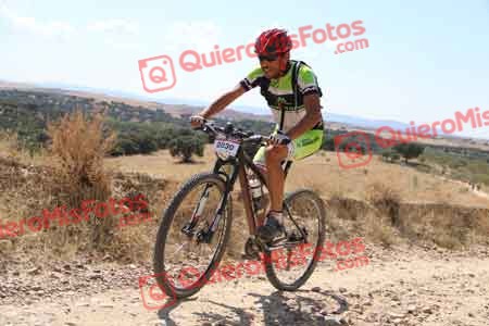 FERNANDO GONZALEZ VIVAS Talajara 2015 35921