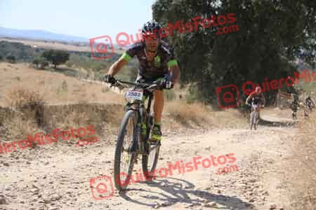 JAVIER GRANADOS MIRON Talajara 2015 36241
