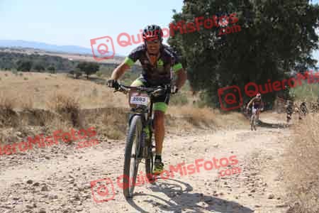 JAVIER GRANADOS MIRON Talajara 2015 36242