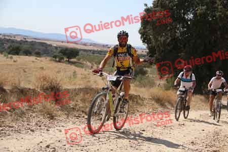 JAIME CORTES CORONADO Talajara 2015 36402