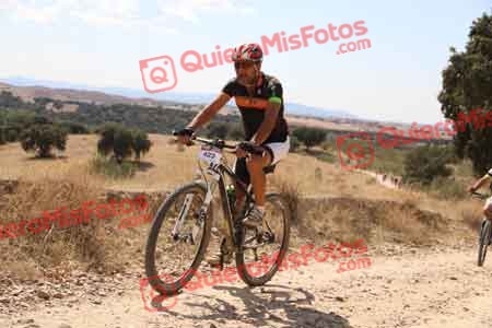 JUAN SANCHEZ GALAN Talajara 2015 36707