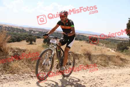 JUAN SANCHEZ GALAN Talajara 2015 36708