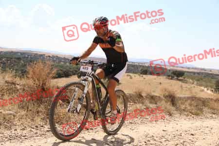 JUAN SANCHEZ GALAN Talajara 2015 36709