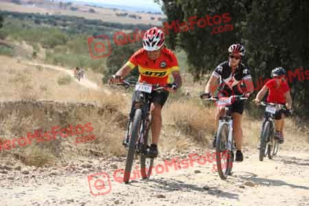 JAVIER PALOU DIAZ Talajara 2015 36720