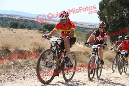 JAVIER PALOU DIAZ Talajara 2015 36723