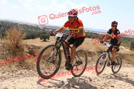 JAVIER PALOU DIAZ Talajara 2015 36724