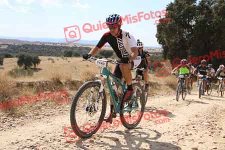 OSCAR OLMO ALCARAZ Talajara 2015 37170