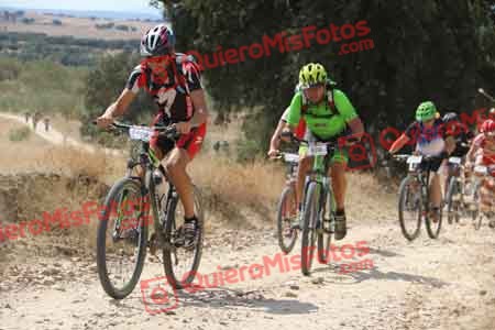 JUAN LUIS MARTIN FLORIDO Talajara 2015 37252