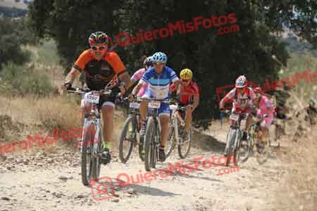 LUIS FERNANDO VALERO VALERO Talajara 2015 37439