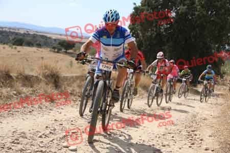 LUIS FERNANDO VALERO VALERO Talajara 2015 37444