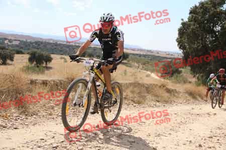JOSE LUIS SALGADO VEGA Talajara 2015 37539
