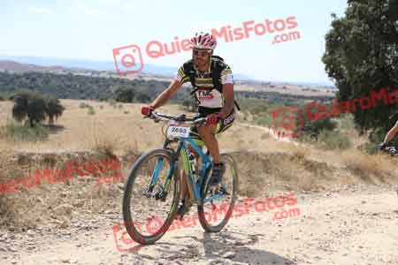 SERGIO GOMEZ AMORES Talajara 2015 37645