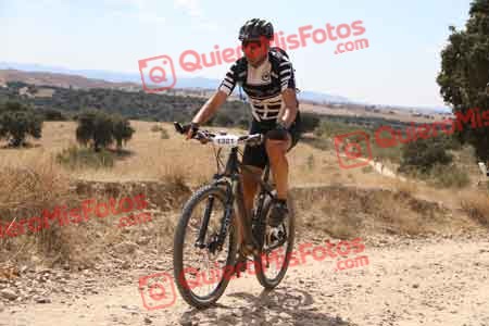 VICENTE SALCEDO NUEVO Talajara 2015 37879