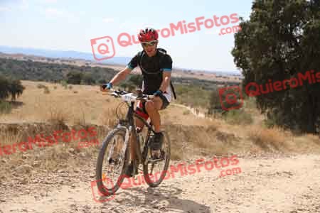 JOSE LUIS MARCO MORENO Talajara 2015 38105