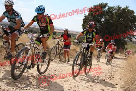 FRANCISCO PRIETO MARTIN Talajara 2015 38122