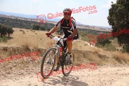 JAVIER POLO SAN JOSE Talajara 2015 38340