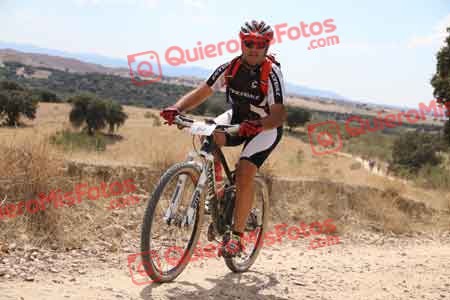 JAVIER POLO SAN JOSE Talajara 2015 38341