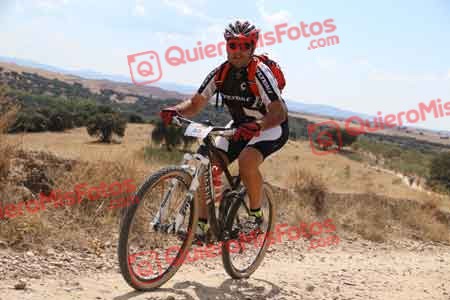JAVIER POLO SAN JOSE Talajara 2015 38342