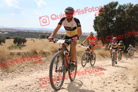 JOSE ANTONIO PRATS MAYORGA Talajara 2015 38536