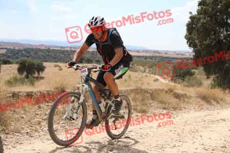 PEDRO GALLARDO DIAGO Talajara 2015 38676