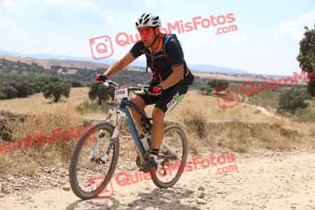 PEDRO GALLARDO DIAGO Talajara 2015 38677
