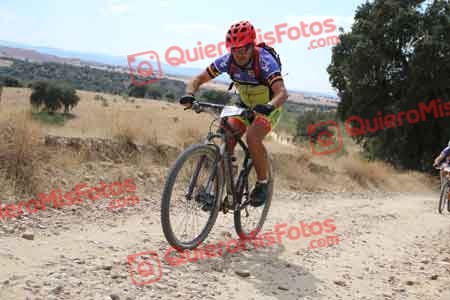 PEDRO TOMAS DEL PUERTO FERNANDEZ Talajara 2015 38851