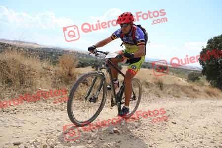 PEDRO TOMAS DEL PUERTO FERNANDEZ Talajara 2015 38852