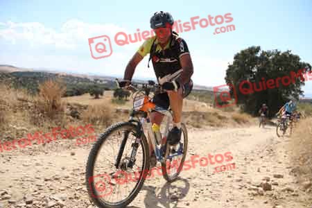 TOMAS MORA DE LA CAL Talajara 2015 39390