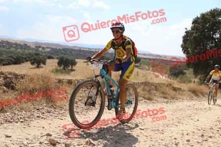 PATRICIA MORA TORRES Talajara 2015 39663