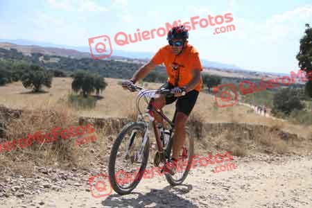 JULIAN GARCIA CALVO Talajara 2015 39737