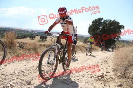 SALVADOR NIETO LUCAS Talajara 2015 39869
