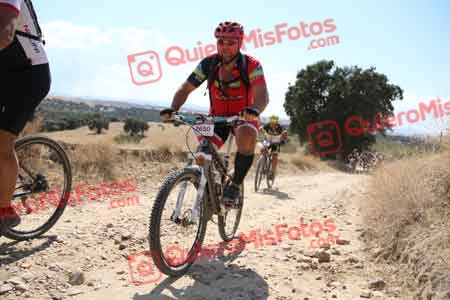 FRANCISCO JOSE GORDILLO TORRES Talajara 2015 39887